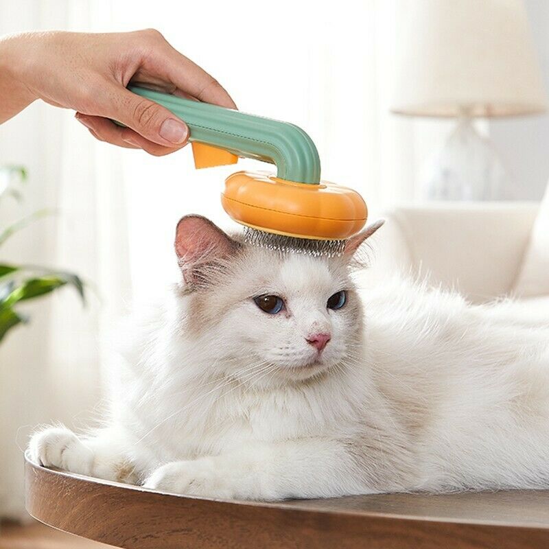 PawPure Self-Cleaning Pumpkin Pet Grooming Brush for Dogs & Cats